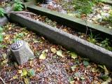 image of grave number 33594